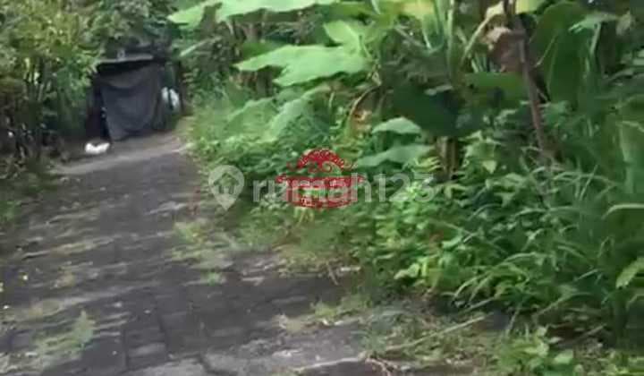 Tanah Jual Lokasi Ungasan