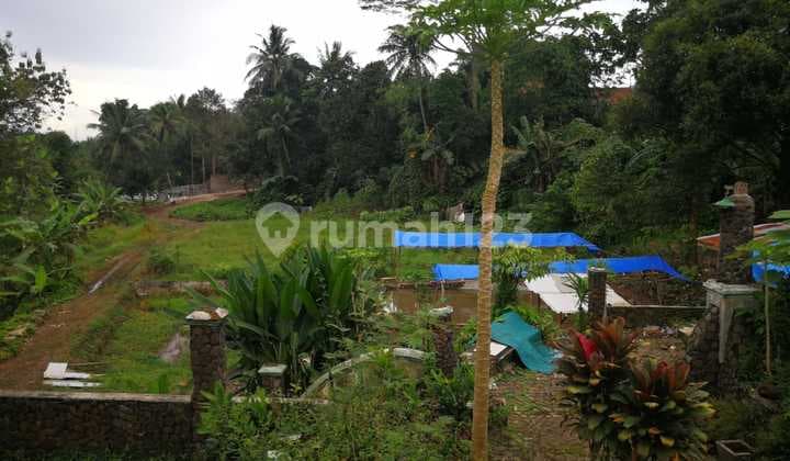 Kavling untuk Perumahan,Kebun, Vila di Dramaga Bogor