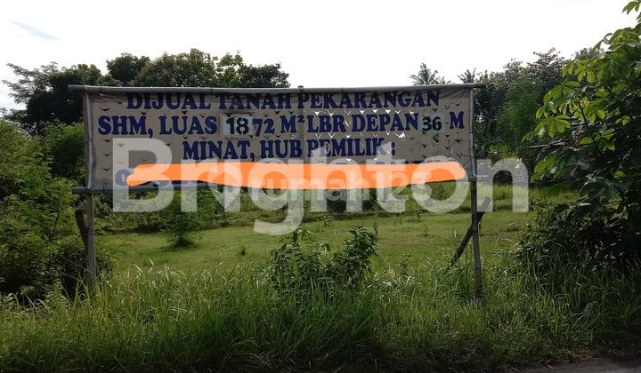 TANAH PINGGIR JLPOROS GANDU SENDANG TIRTO
