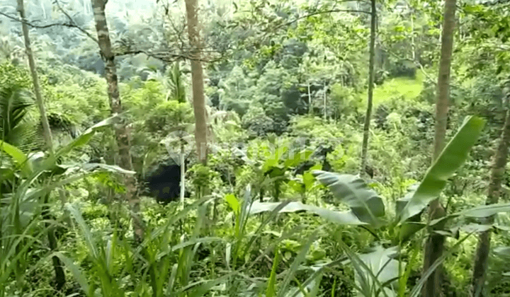 LAHAN LUAS VIEW ALAM UBUD