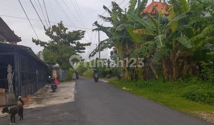 DIJUAL TANAH JALAN UTAMA PERERENAN