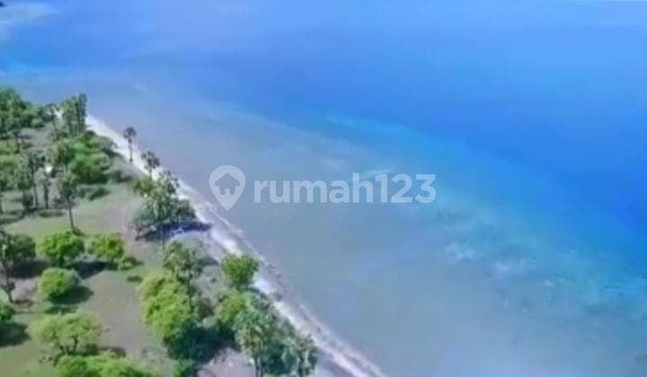 BEACHFRONT LAND FOR SALE IN SINGARAJA