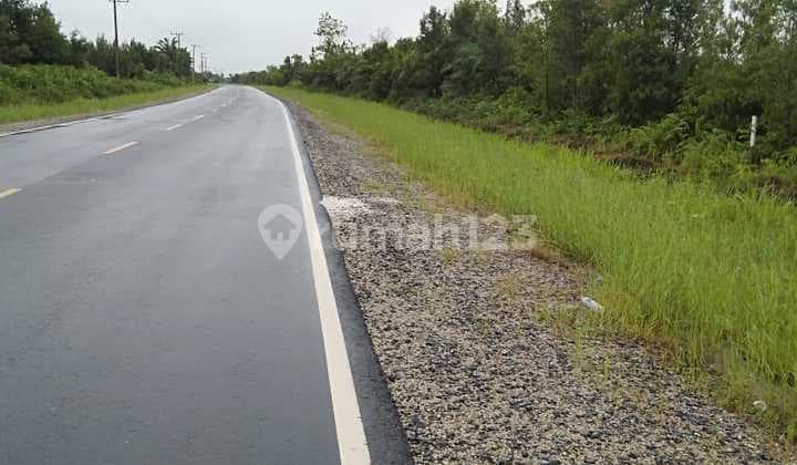 TANAH JALAN UTAMA PALANGKARAYA