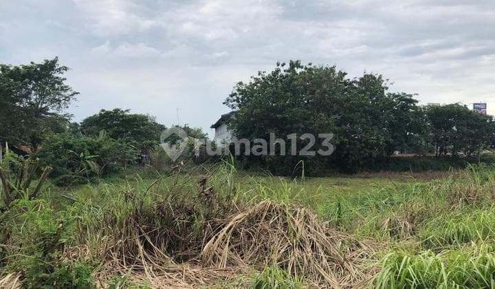 Tanah Kavling Komersil, Karawang Barat. Luas 4850 M2, Sertifikat SHM