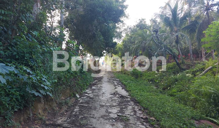 TANAH MURAH BERSERTIFIKAT DEKAT PERUMAHAN JL.KESATRIAAN KM8.