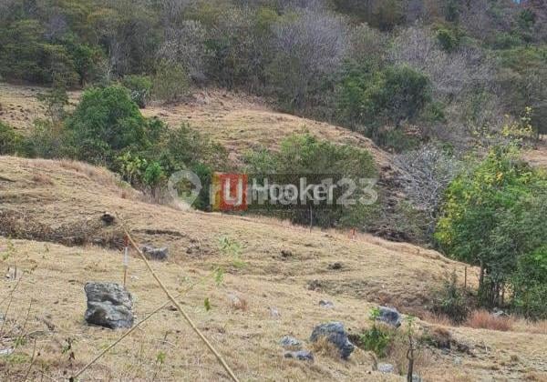 Kavling Siap Bangun Di Manggarai Barat Area Nusa Tenggara Timur