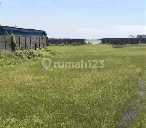 Dijual Kavling Jl Raya Kramat Pakuhaji