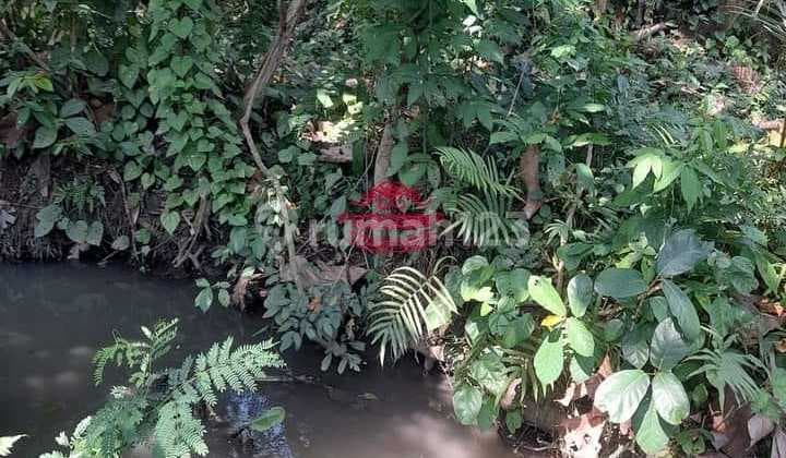 Tanah Jual Lokasi Munggu