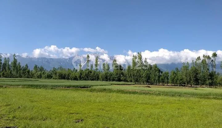 Pakuwon Square, Raya Bukit Darmo Boulevard - Kavling Komersial, Hadap Jalan Raya Pakuwon Square, Raya Bukit Darmo Boulevard - Kavling Komersial, Hadap Jalan Raya