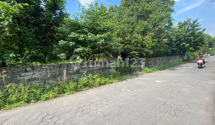 TANAH SUPER ISTIMEWA DAN MURAH DI MAGUWO