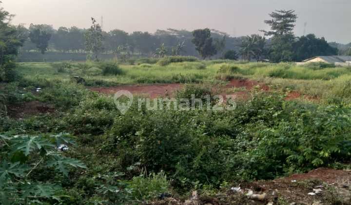 Lahan luas cocok utk rumah tinggal dan kebun