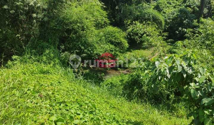 Land for Sale Location Sukawati