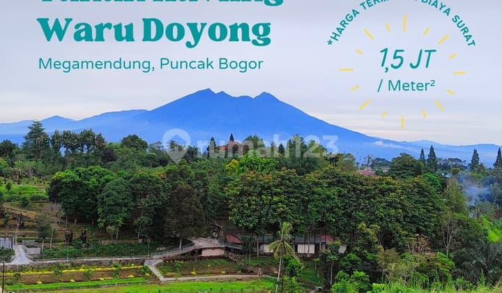 jual tanah berkontur cocok bangun villa di puncak bogor