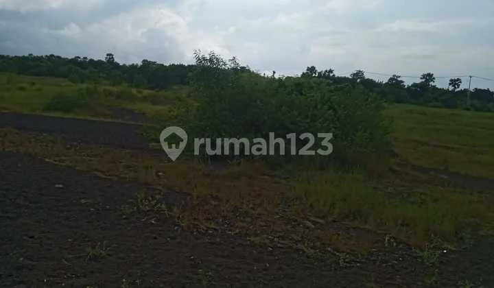 Tanah 8 hektar buat investasi dan proyek atau usaha Tanah 8 hektar buat investasi dan proyek atau usaha