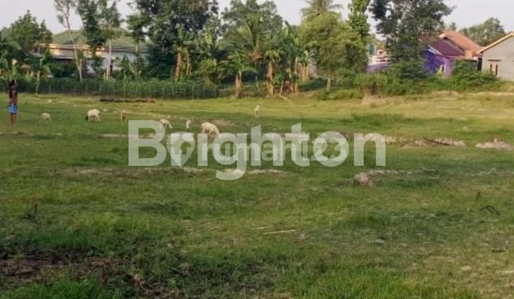 Royal residence land plot Royal residence land plot