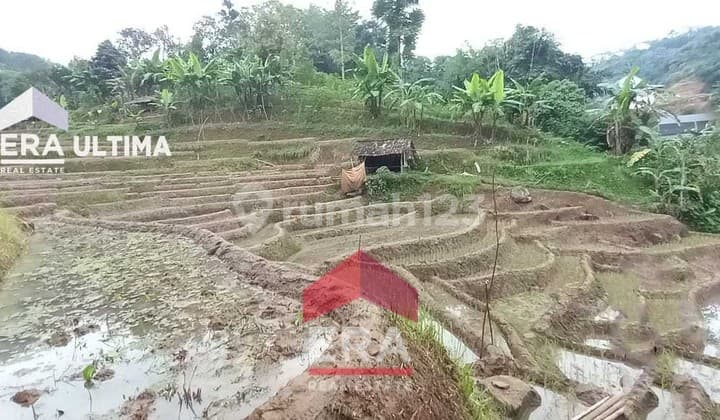 Tanah Luas Cocok Untuk Usaha Dan Investasi Di Dago