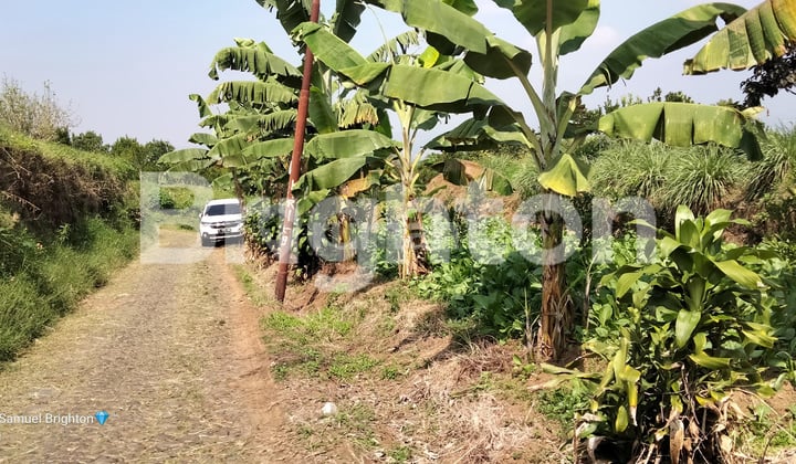 Tanah View Istimewa Gunung Panderman dan Kota Batu Dekat Exit Tol Kota Batu (Coming Soon)