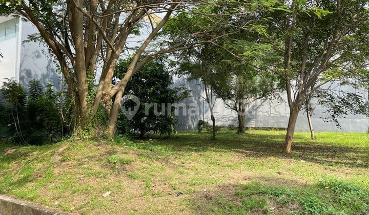 Kavling Trimaran Permai Luas 555m2 Pantai Indah Kapuk Pik Pik2