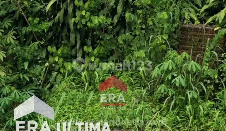 Tanah Luas Cocok Untuk Usaha Dan Investasi Di Dago