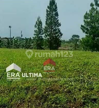 Tanah Luas Cocok Untuk Usaha Dan Investasi Di Kota Baru Parahyangan