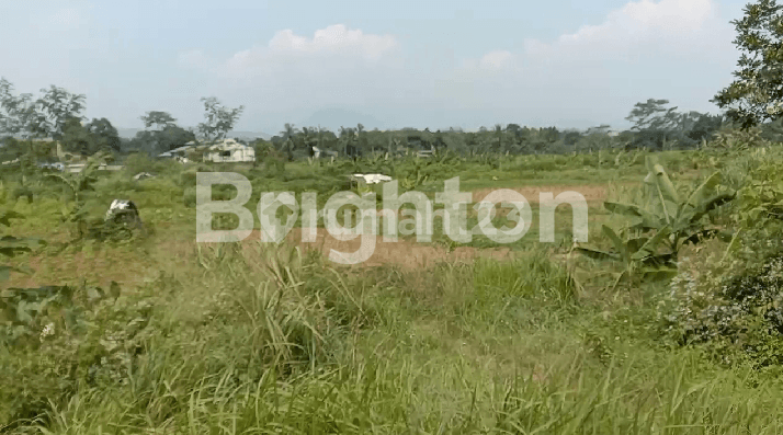 Tanah Luas 6,5 Hektar, Harga Miring, Sebelah Sirkuit Sentul Bogor