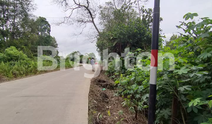 TANAH DIPINGGIR JALAN DEKAT BANDARA APT.PRANOTO