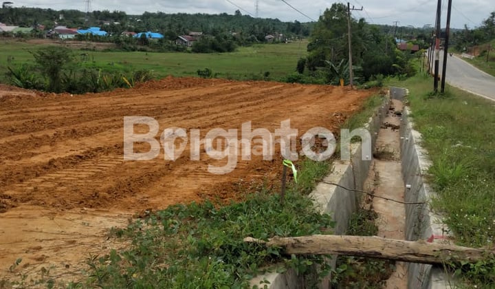 TANAH LUAS DIPINGGIR JALAN BESAR DAN DI TENGAH KOTA IKN