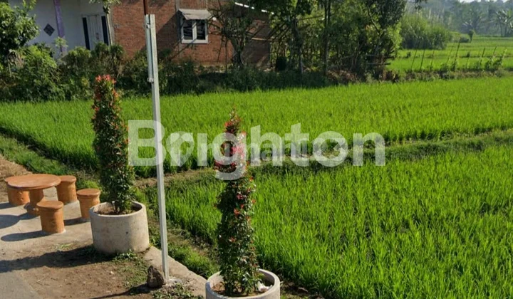 Tanah Murah Karangploso View Istimewa Gunung Arjuno, Semeru, Kawi, & Lahan2 Pertanian Sangat Cocok Buat Cafe & Kuliner Tanah Murah Karangploso View Istimewa Gunung Arjuno, Semeru, Kawi, & Lahan2 Pertanian Sangat Cocok Buat Cafe & Kuliner