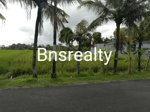 Grasshopper Location Land