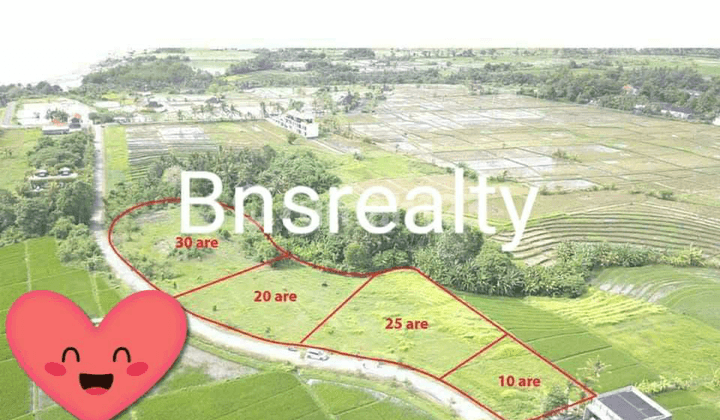 Land Location Kedungu