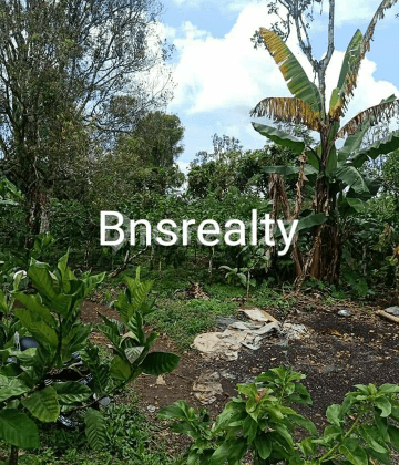 Tanah Lokasi Busungbiu