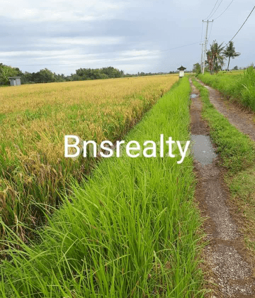 Land Location Kedungu