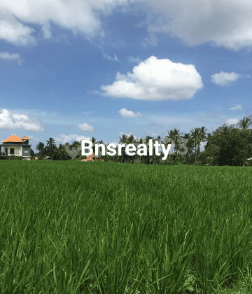 Tanah Lokasi Peliatan