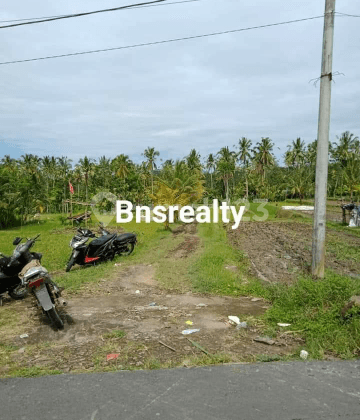 Tanah Lokasi Tampak Siring