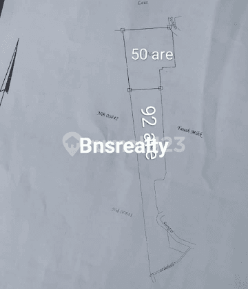 Lovina Location Land