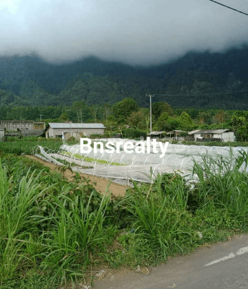 Tanah Lokasi Candi Kuning