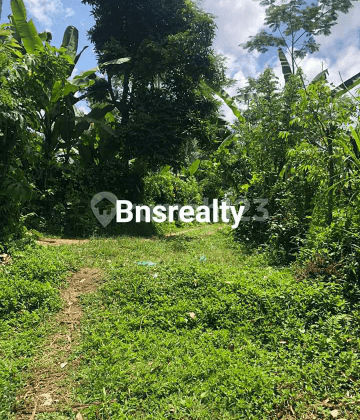 Tanah Lokasi Tegallalang