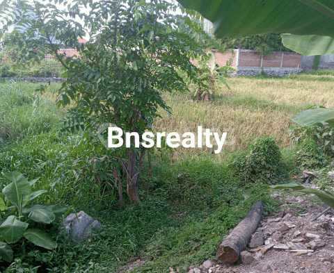 Tanah Lokasi Taman Sari