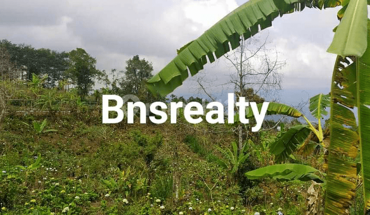 Land Location at Tamblingan Lake