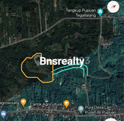 Land Location Tegallalang