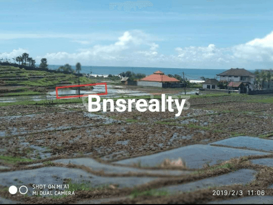 Tanah Lokasi Mendoyo Tanah Lokasi Mendoyo