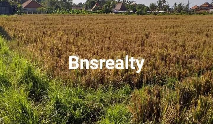 Tanah Lokasi Batu Bulan