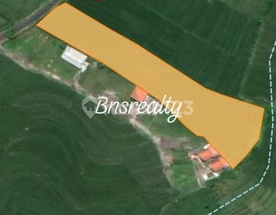 Tanah Lokasi Pantai Lima Pererenan Tanah Lokasi Pantai Lima Pererenan