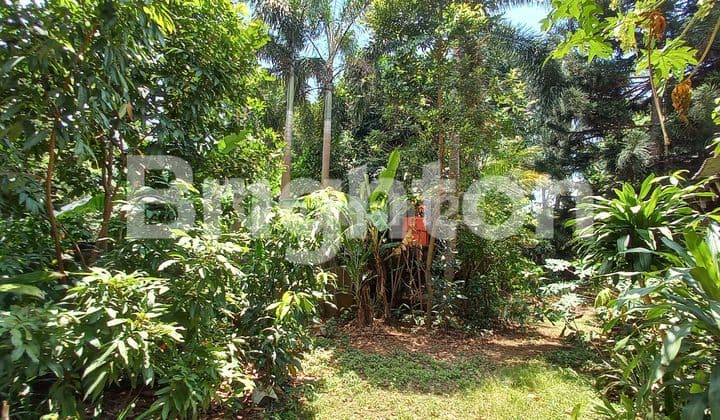 TANAH KOMERSIAL COCOK UNTUK KANTOR, TOKO, HOTEL, TEMPAT USAHA - SADANG PURWAKARTA