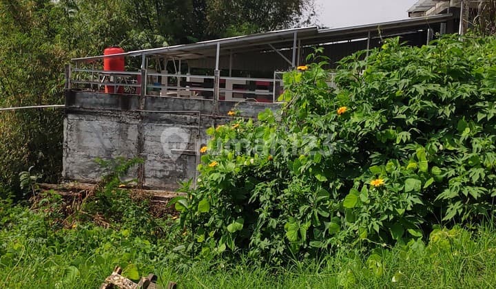 TANAH LOKASI SANGAT STRATEGIS DI SEKELILING KAMPUS TERNAMA KOTA MALANG