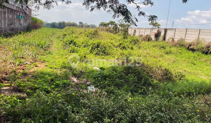 TANAH JALIBAR - MALANG