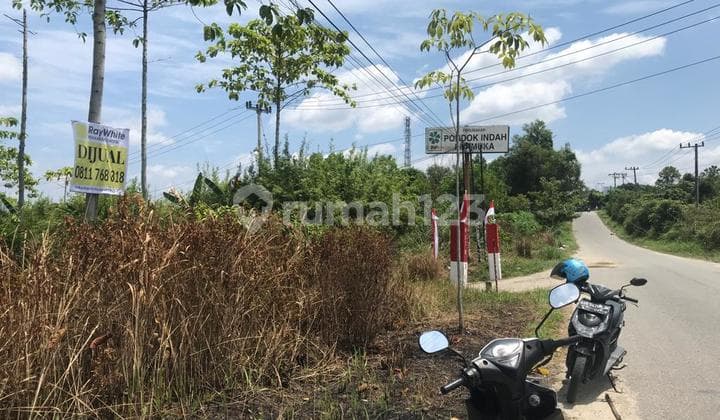 Tanah keras daerah Rumbai, Pekanbaru..