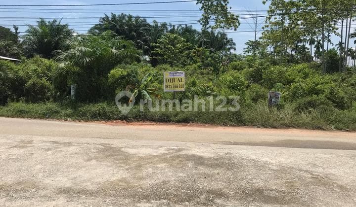 Tanah keras di daerah Rumbai, Pekanbaru