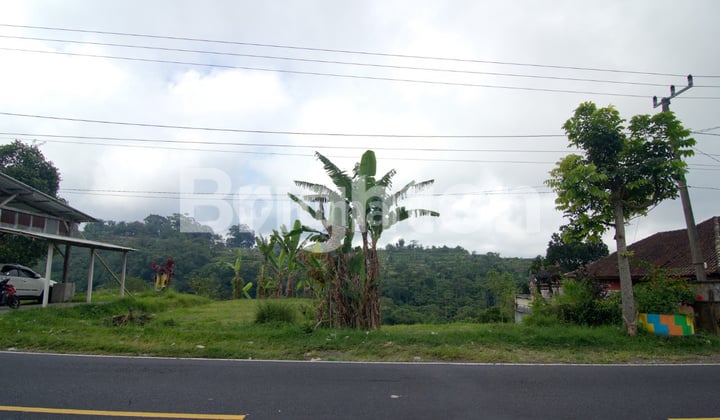 LAND ON THE MAIN ROAD OF DENPASAR SINGARAJA