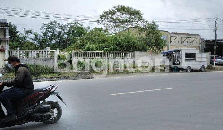 Tanah Paya Pasir Marelan